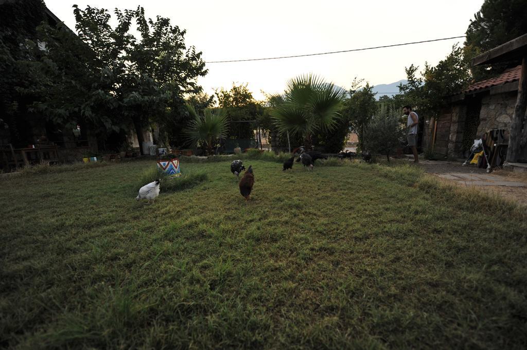 Olympos Koyevi Countryhouse Exterior photo