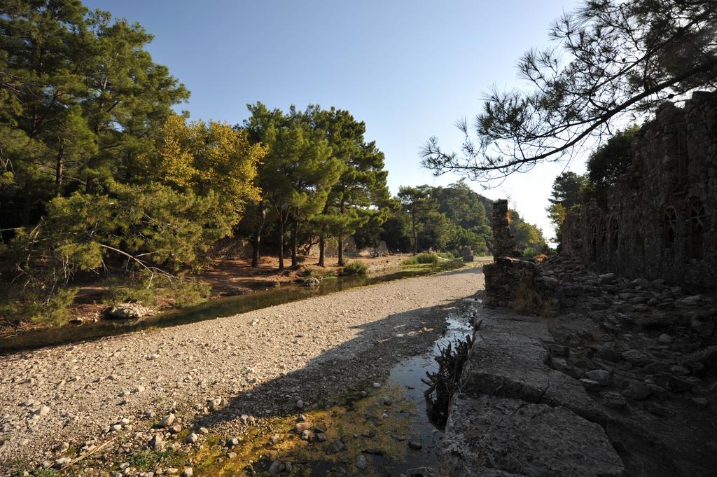 Olympos Koyevi Countryhouse Exterior photo